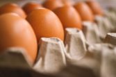 vegan bakning